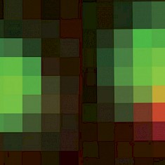 气泡理论将细胞生物学提升到一个新的、更量化的时代